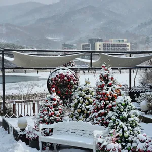 고모리691 리뷰 사진