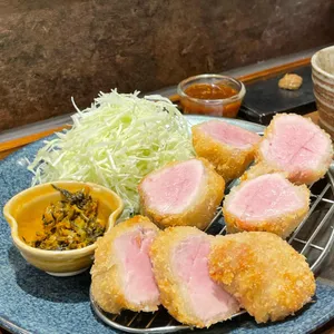 하쿠비 사진