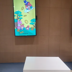 콜렉티보 리뷰 사진