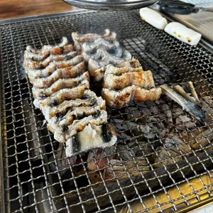 황토장어 사진