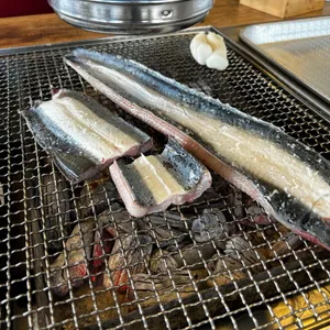 황토장어 사진