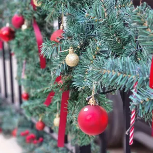 오브도레 드 펌킨스 사진