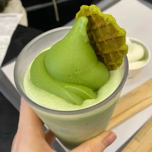 오설록 티 뮤지엄 사진