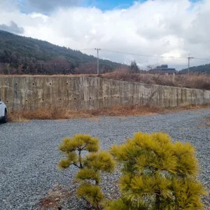 유와백가 리뷰 사진