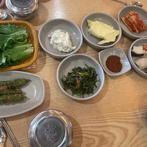 소나무 사진