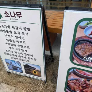 소나무 리뷰 사진