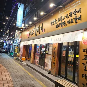 신마포갈매기 사진