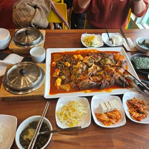황금코다리 사진