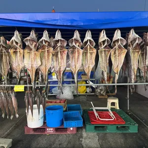 효진수산횟집 리뷰 사진