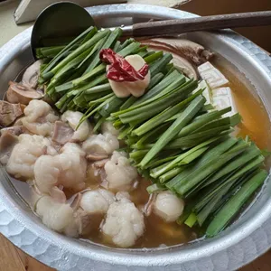 카시 사진