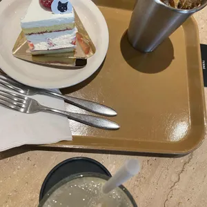 테니 사진