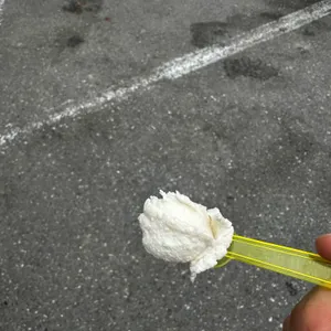 순두부젤라또 리뷰 사진