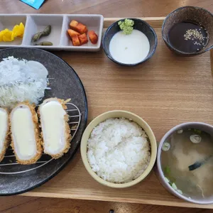 터틀리애 사진