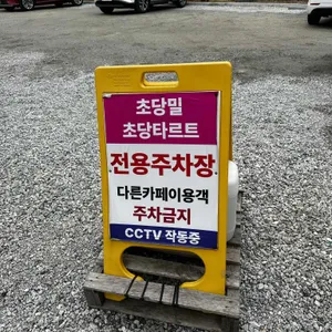 초당밀 리뷰 사진
