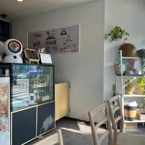 로티보이 리뷰 사진