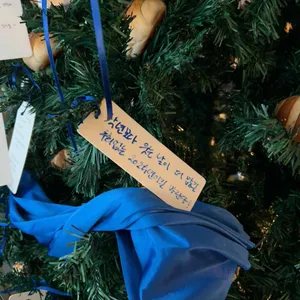 블루본즈 베이크플레이스 리뷰 사진