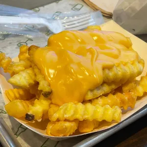 쉐이크쉑 사진