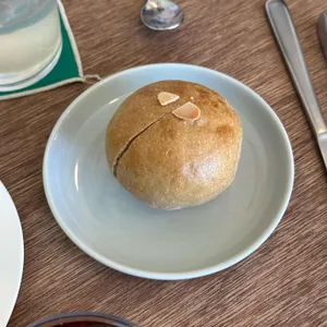 콩키 사진