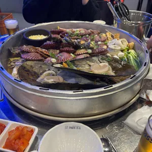 갯벌의조개 사진