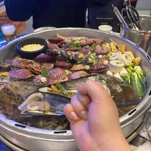 갯벌의조개 사진