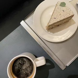 스테드 사진