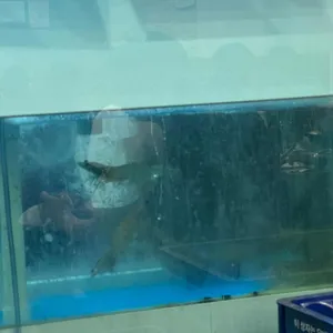 한잔 바다회 리뷰 사진