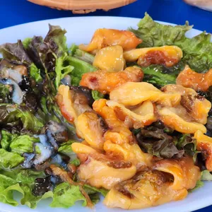 바다마차 사진 2