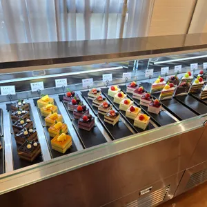 하패리 61 리뷰 사진