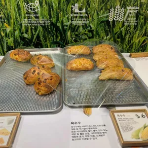 파운드 그레도 리뷰 사진