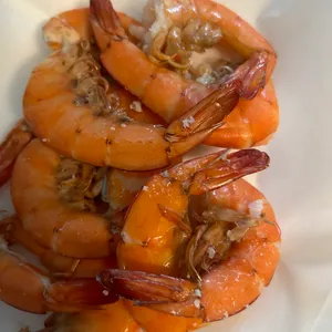 파도회 사진