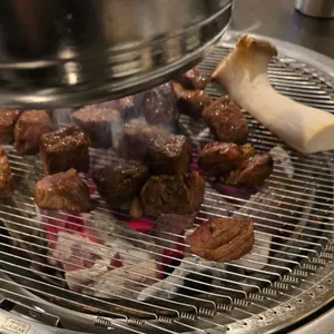 강고기 사진