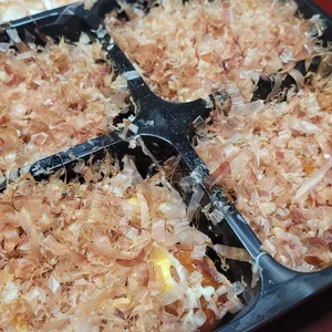 타코비 사진 1
