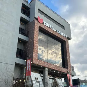 레드파이프 리뷰 사진