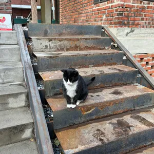 그리너리하우스 리뷰 사진