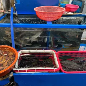 함안횟집 사진 2