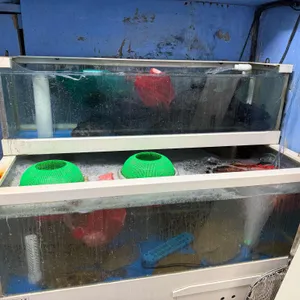남대문막내횟집 리뷰 사진
