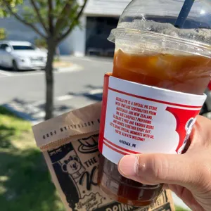 꼬알라파이 사진