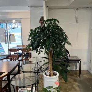 바리오 리뷰 사진