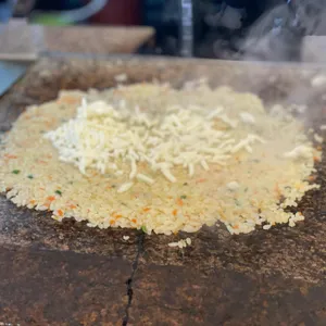 황금오리 사진