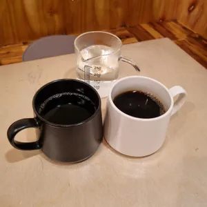 커티 사진
