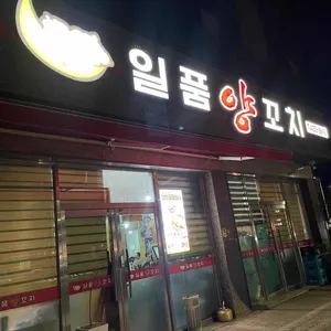 일품양꼬치 리뷰 사진