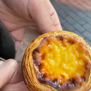 에그마카슈 사진