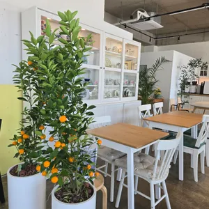 홈커밍 리뷰 사진