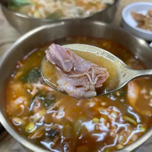 곤원 사진