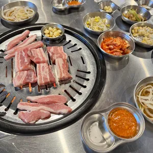 통통돼지 사진