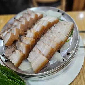 담쟁이 사진