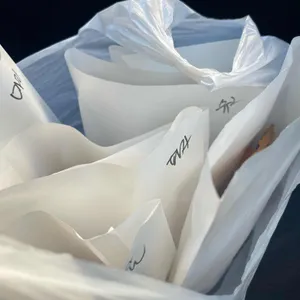 참붕어 대표 사진