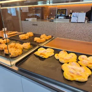 엔제리너스 사진
