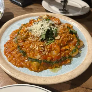 트라토리아 사진
