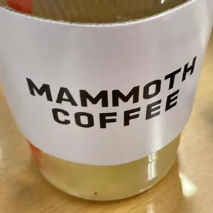 매머드익스프레스 사진
